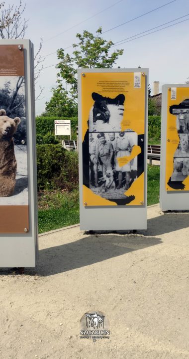 Skwer Misia Wojtka w Szczecinie to również tablice informacyjne o historii zwierzaka