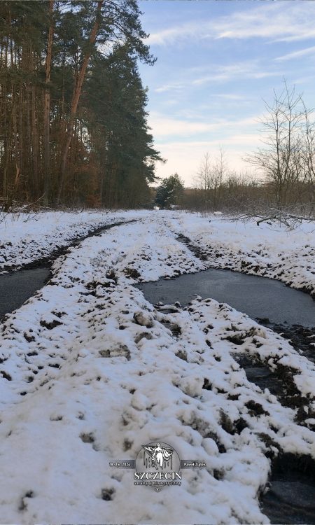 Kiedyś tędy podążały powozy pocztowe z Stargardu w stronę Szczecina