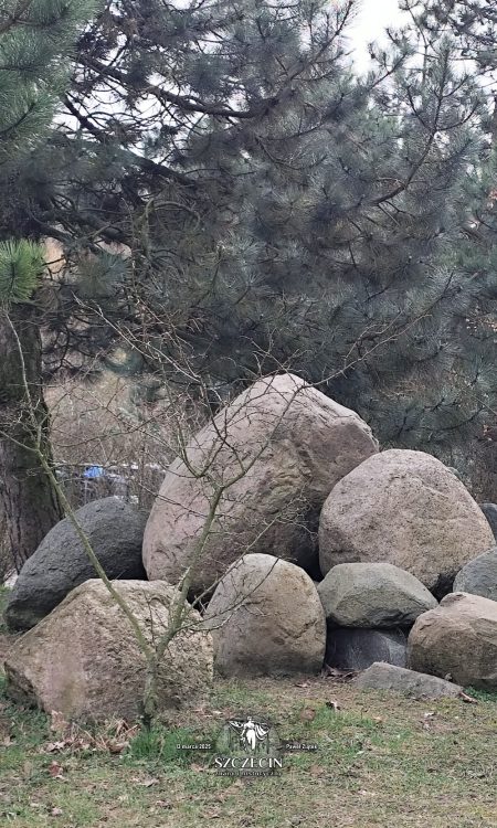 Sterta głazów w pobliżu szczytu Gubałówki - w sam raz na jakiś monument pamiątkowy, może właśnie jej autorów?! :)