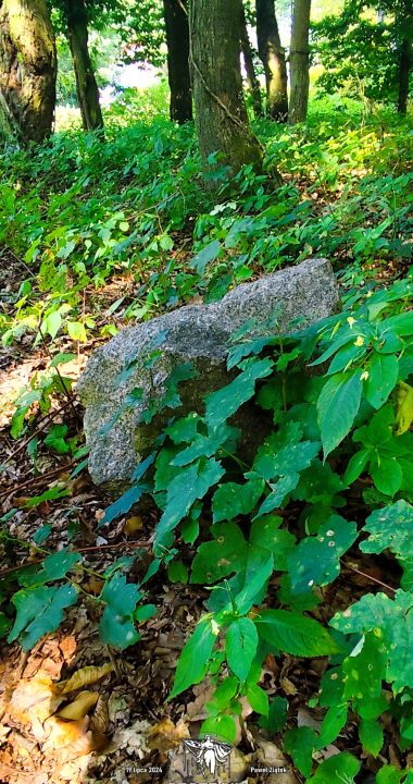 Czasami to wszystko, co pozostaje - kamienny mur starego cmentarza, część wschodnia wsi