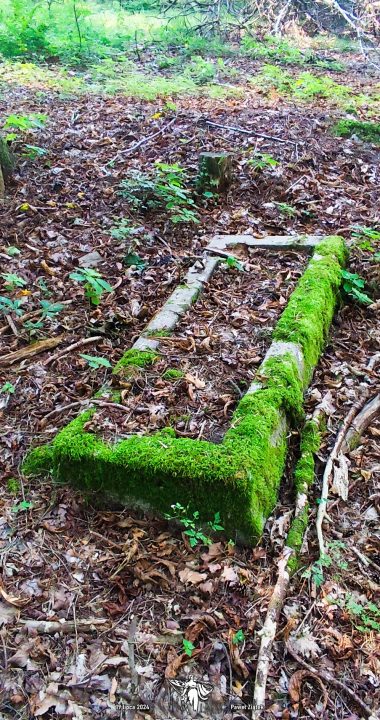 Fragment ramy grobowej na zachodnim (nowym) cmentarzu Trzeszczyna