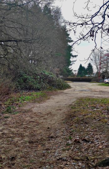 Widok od lasu w kierunku Chopina, po lewej stał Vorwerk Waldhof