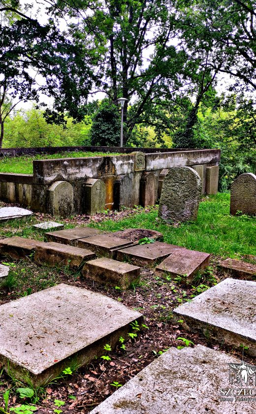 Obok dawnego monumentu znajduje się cmentarne lapidarium