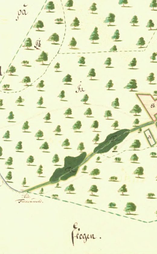 Okolice Tatyni oraz wsi Witorza na mapach szwedzkich
